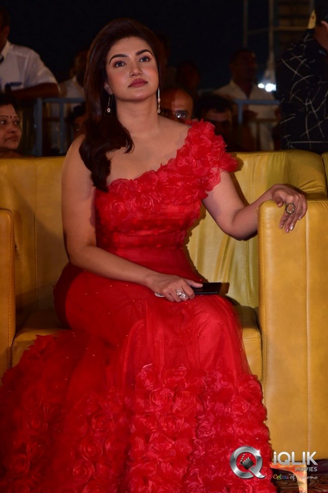 VeeraSimhaReddy-Pre-release-event